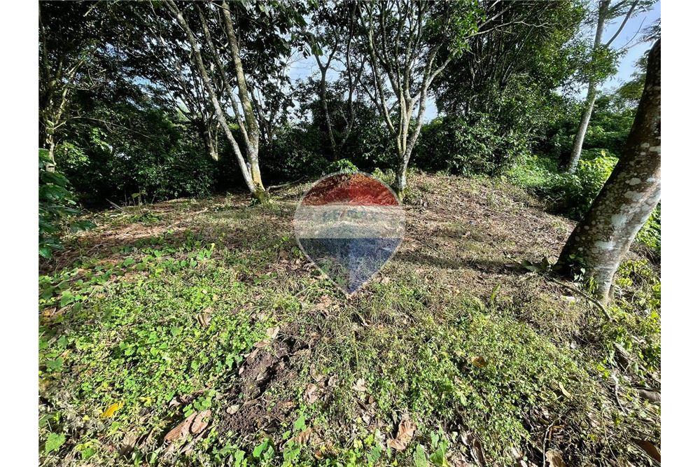 Land - For Sale - Santa Tecla, La Libertad, El Salvador - 1 - 901901032-34