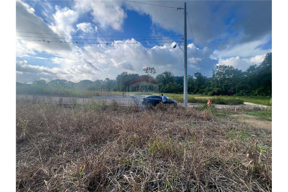 Lote - Venta - Sangre Grande, Saint Andrew, Trinidad and Tobago - 1 - 90155092-96