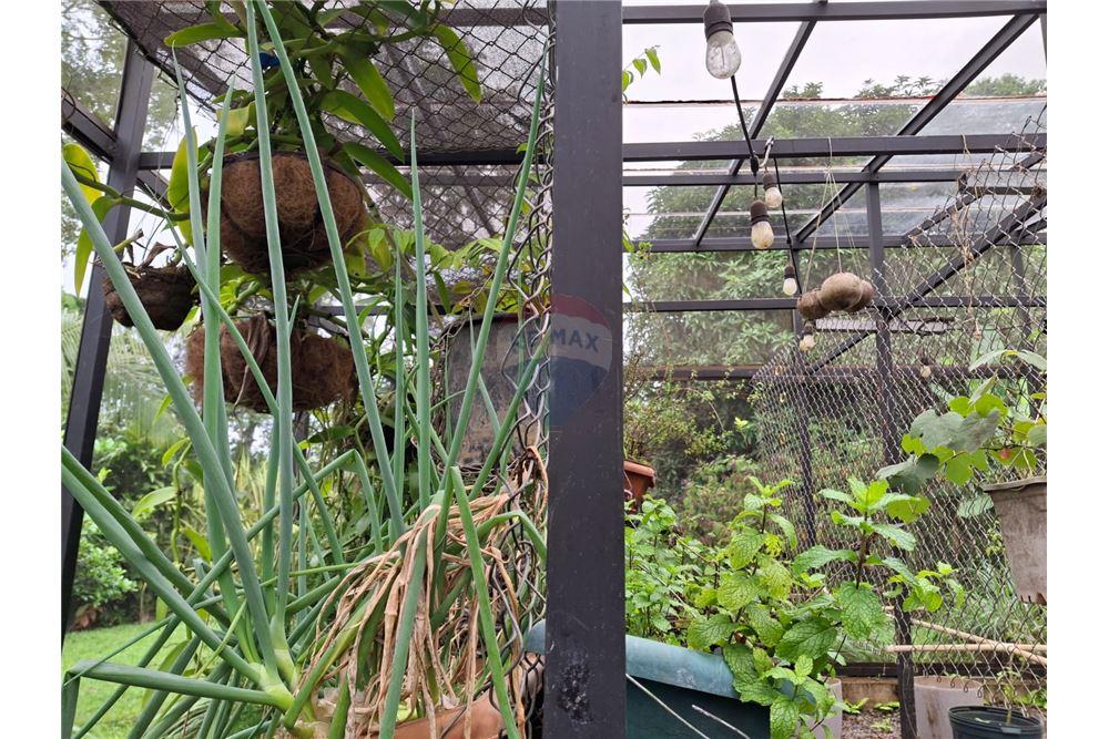 住宅 - 多户住宅 - Puntarenas, Puntarenas - Puntarenas, 哥斯达黎加 - Caribbean & Central Ameri - 9 - 90168039-34