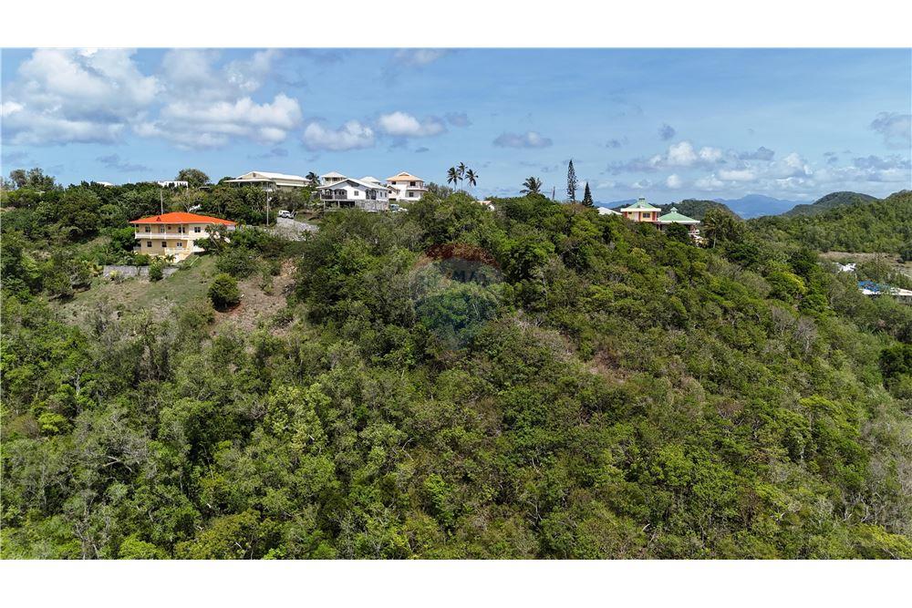 Commercial - Land - Hope, Bequia, St Vincent and the Grenadines - Caribbean & Central Ameri - 6 - 90109001-334