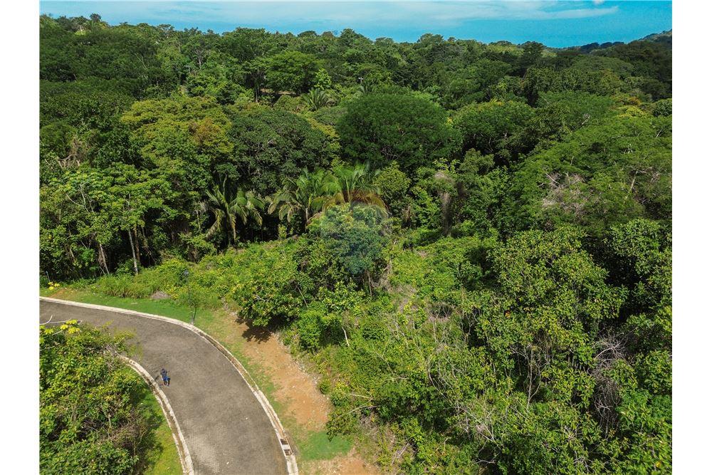 Surface commerciale - Autre terrain - Parrita - Esterillos, Puntarenas - Parrita, Costa Rica - Caribbean & Central Ameri - 16 - 90168039-31