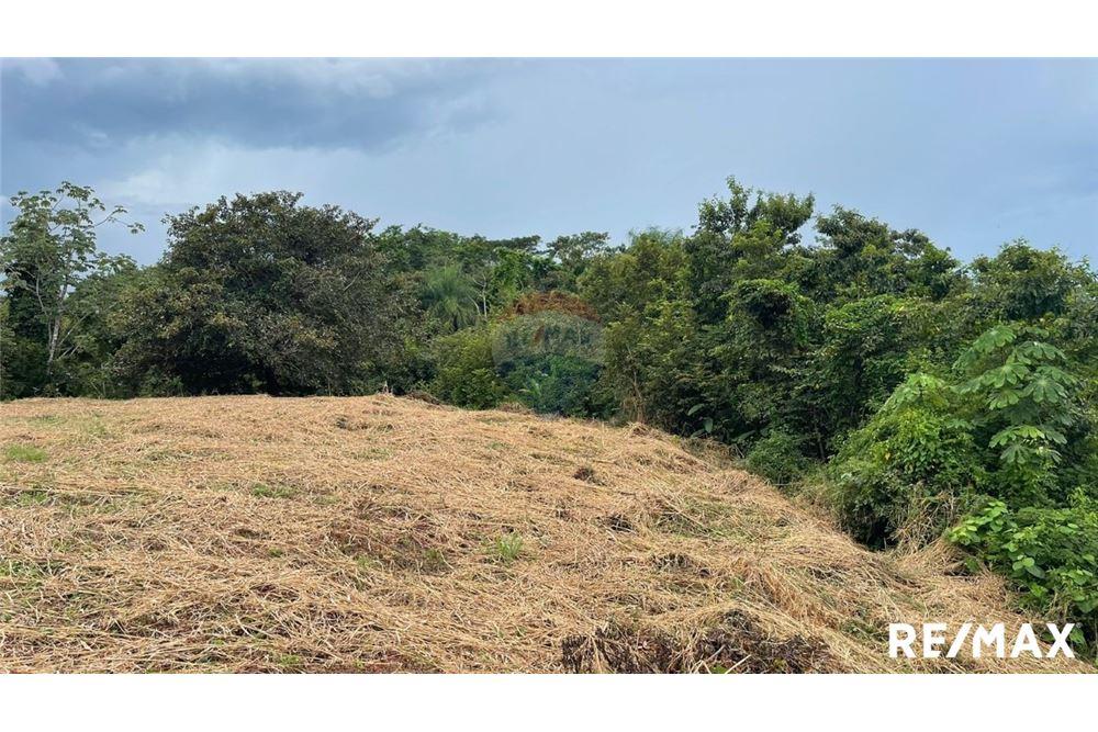 Commercio - Terreno - Puntarenas, Puntarenas - Puntarenas, Costa Rica - Caribbean & Central Ameri - 13 - 90168045-6