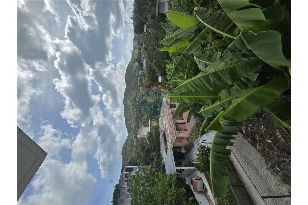 Villa - Venta - Cayey, Cayey, Puerto Rico - 13 - 90102025-339