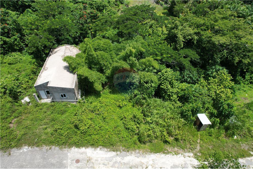Land - For Sale - Lucea, Hanover Parish, Jamaica - 4 - 902421019-7