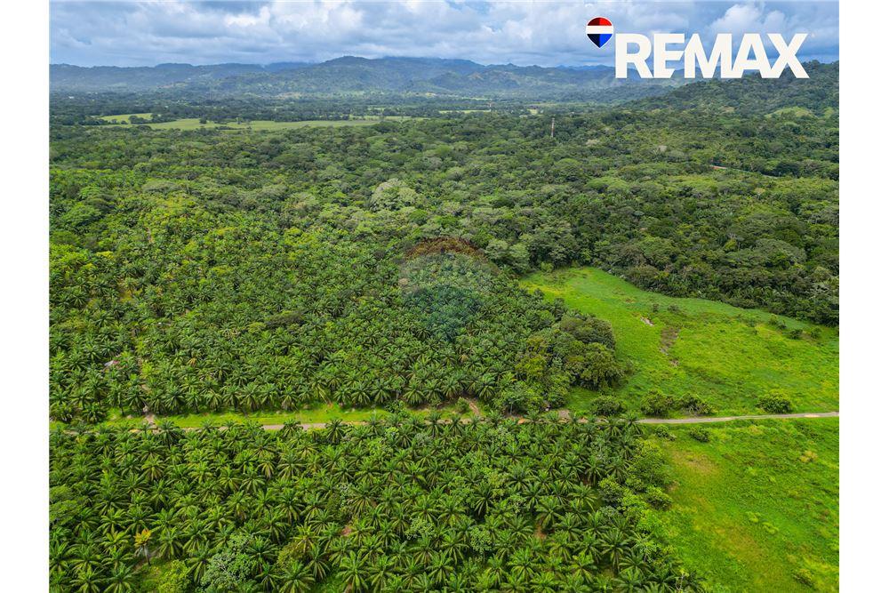 Comercial - Terreno - Parrita - Esterillos, Puntarenas - Parrita, Costa Rica - Caribbean & Central Ameri - 7 - 90168003-465
