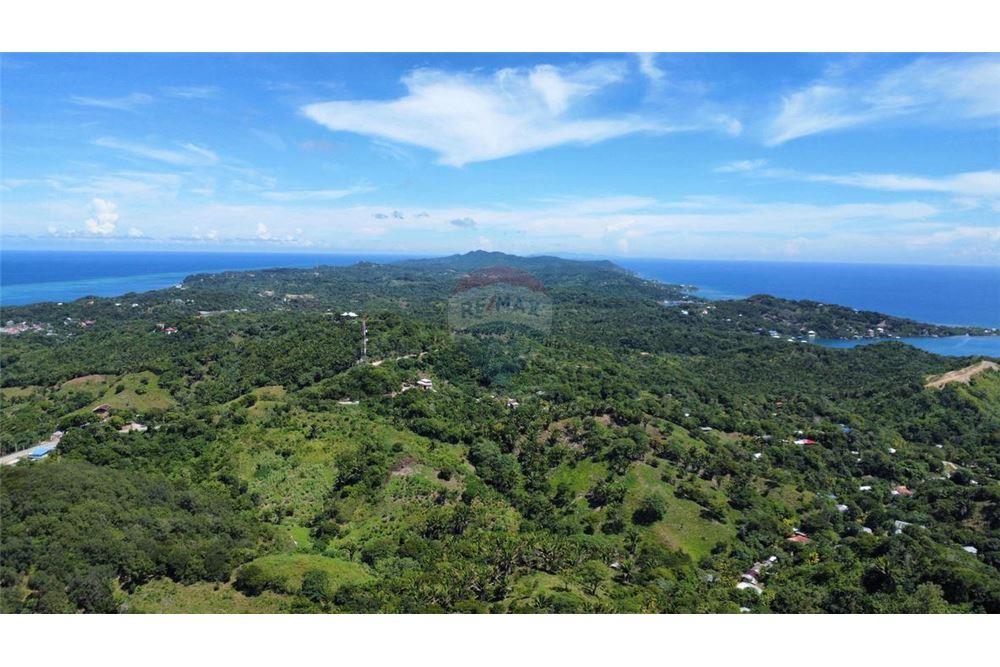 Land - For Sale - Roatan, Bay Islands, Honduras - 8 - 90143009-433