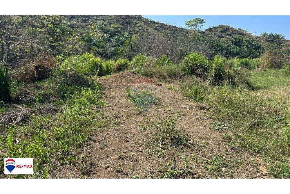 Commercio - Terreno - Jaco - Jaco, Puntarenas- Garabito, Costa Rica - Caribbean & Central Ameri - 7 - 90168030-49