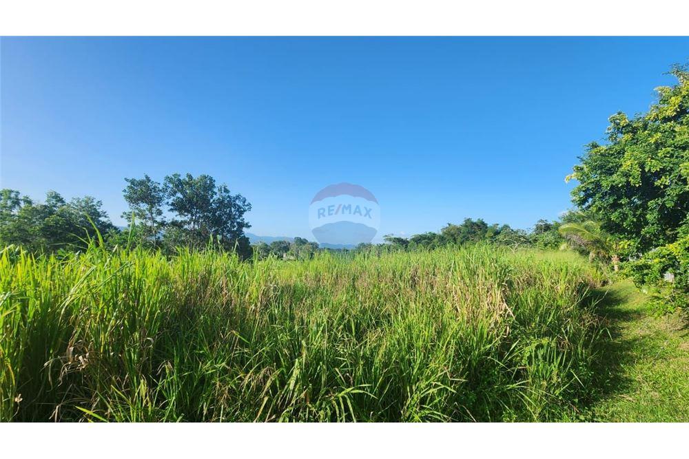Land - For Sale - Las Lomas, Caroni, Trinidad and Tobago - 6 - 902551007-7