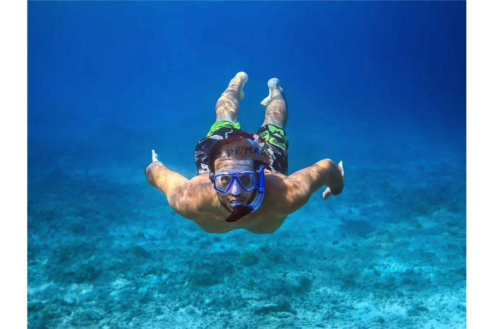 Wohnung - Villa - Placencia, Stann Creek District, Belize - Caribbean & Central Ameri - 21 - 90127025-60