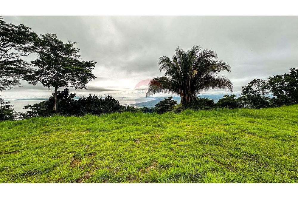 Commercial - Land - Jaco - Jaco, Puntarenas- Garabito, Costa Rica - Caribbean & Central Ameri - 10 - 90168016-216