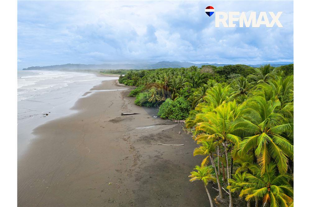 Comercial - Terreno - Parrita - Esterillos, Puntarenas - Parrita, Costa Rica - Caribbean & Central Ameri - 1 - 90168003-465