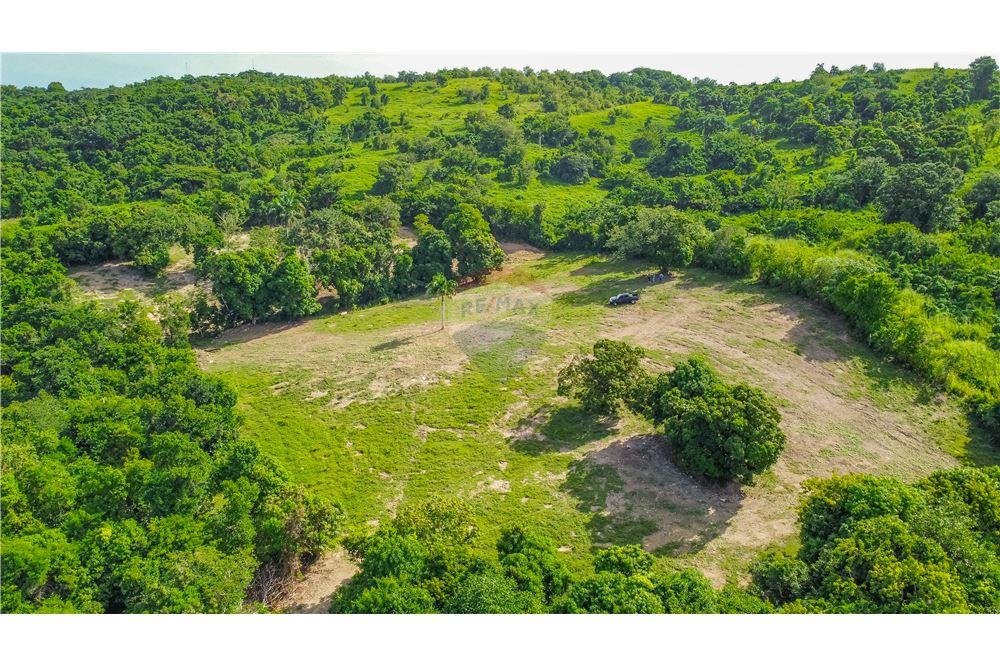 Commercial - Land - Rio Grande, Rio Grande, Puerto Rico - Caribbean & Central Ameri - 8 - 902461007-23