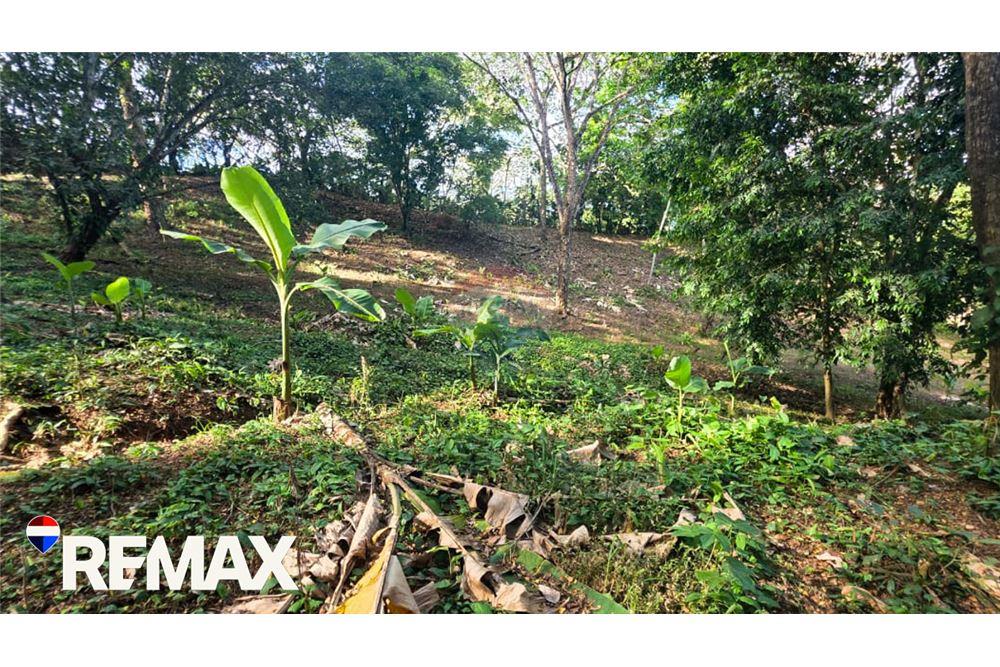 Commercio - Commerciale/Negozi - Jaco - Herradura, Puntarenas- Garabito, Costa Rica - Caribbean & Central Ameri - 8 - 90168013-183