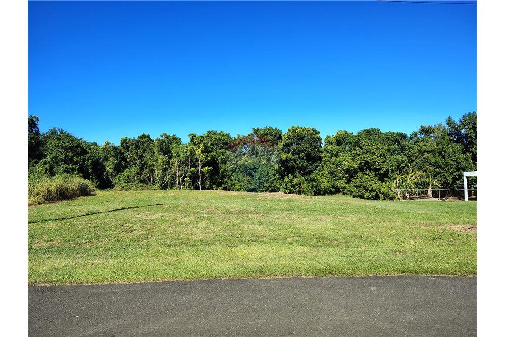 Commercial - Land - Parc Garrochales, Barceloneta, Puerto Rico - Caribbean & Central Ameri - 2 - 902461013-12