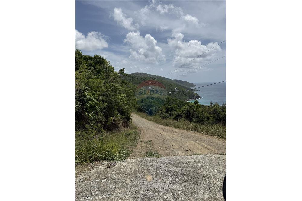 Land - For Sale - Trunk Bay, Tortola North Central, British Virgin Islands - 4 - 90134005-310