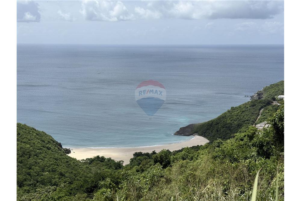 Land - For Sale - Trunk Bay, Tortola North Central, British Virgin Islands - 5 - 90134005-310
