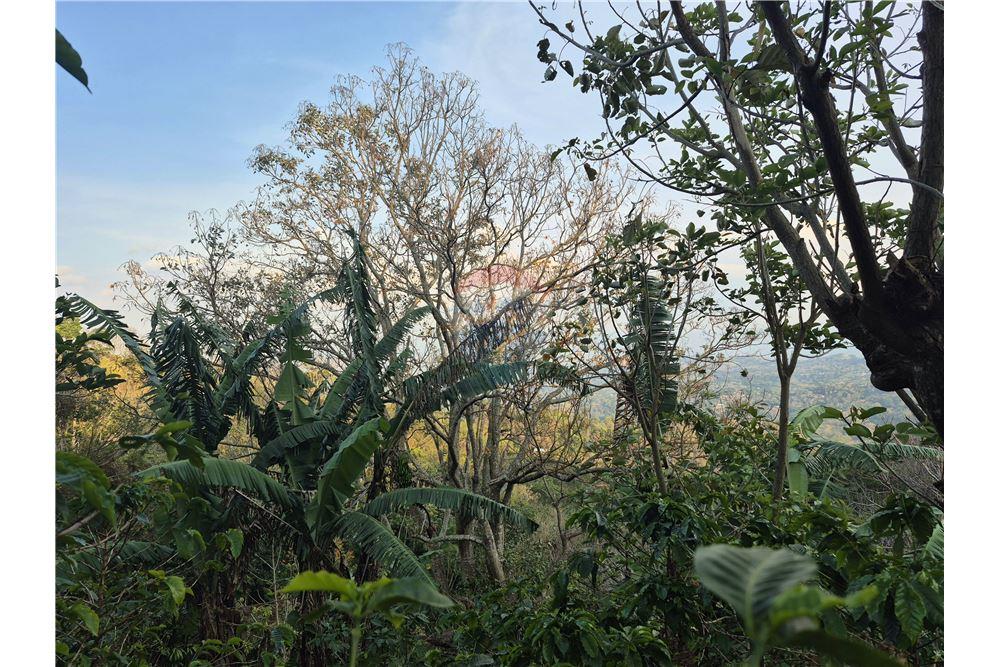 Commercial - Land - Atenas, Alajuela- Atenas, Costa Rica - Caribbean & Central Ameri - 8 - 90128007-166