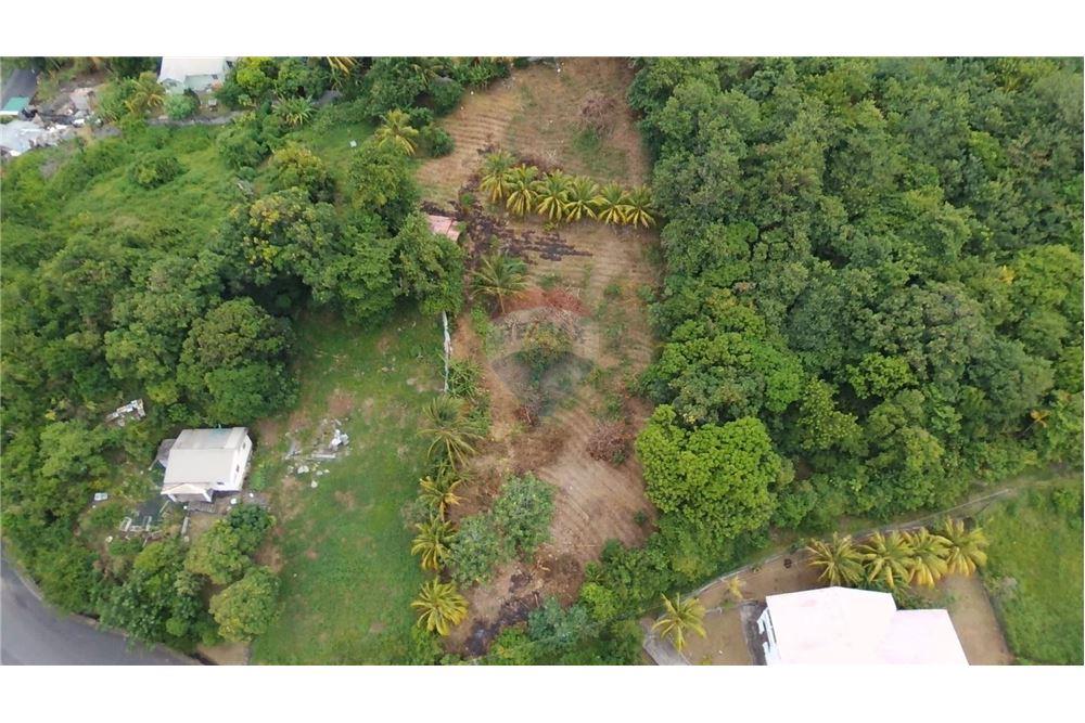 Comercial - Terrenos - Stubbs, St Vincent, St Vincent and the Grenadines - Caribbean & Central Ameri - 7 - 90109004-55