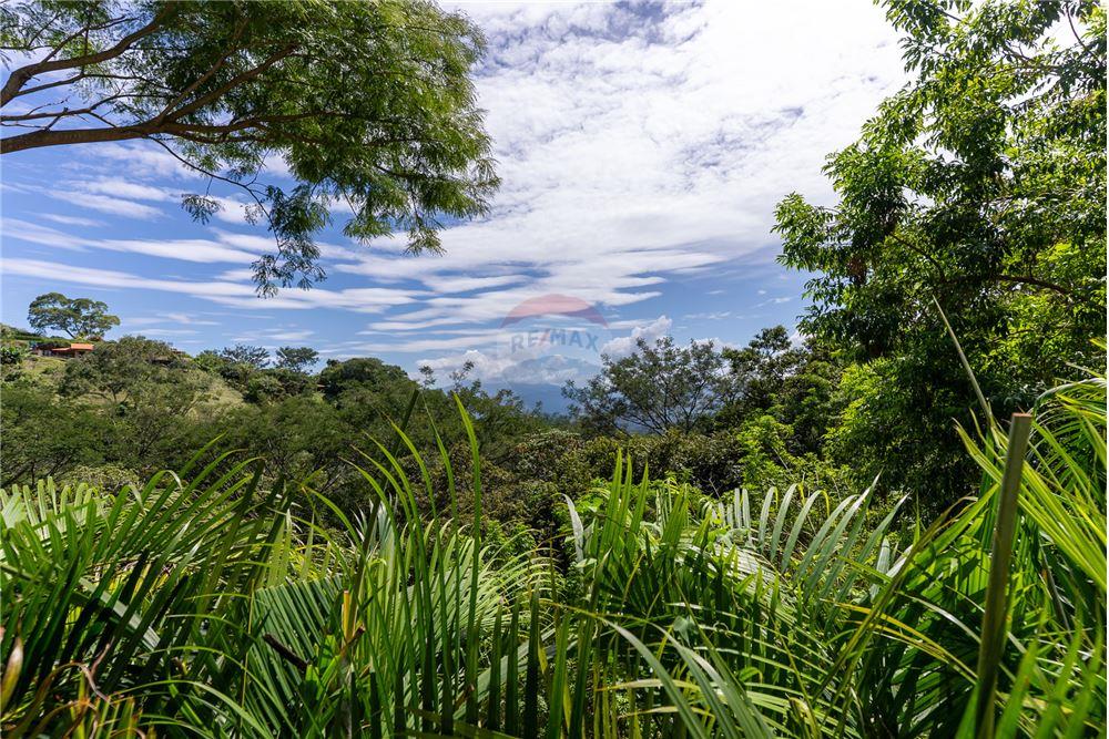 Residencial - Villa - Atenas, Alajuela- Atenas, Costa Rica - Caribbean & Central Ameri - 10 - 90128002-992