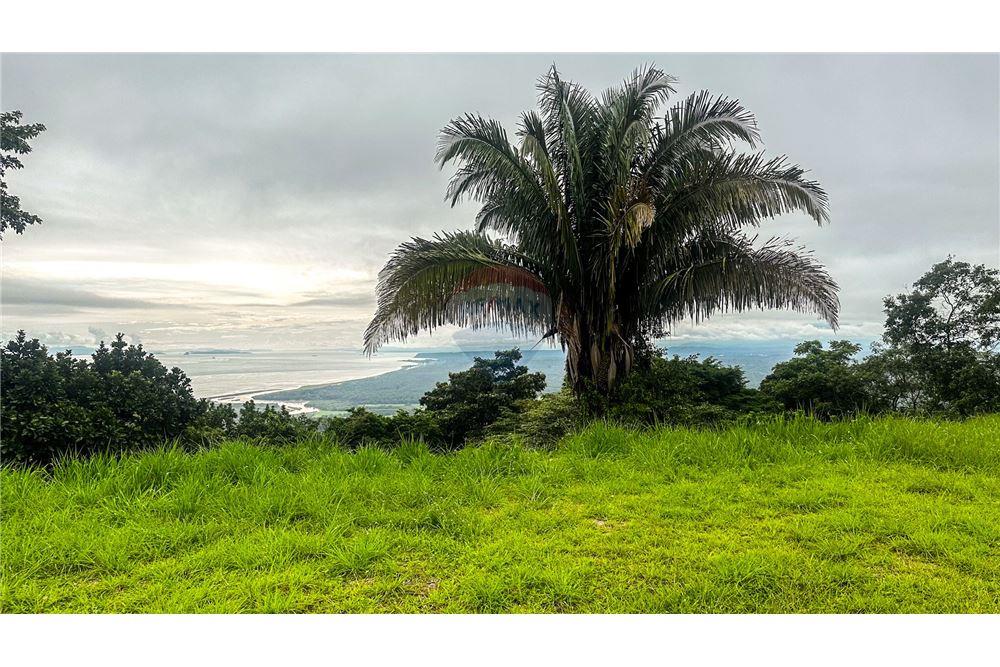 Commercial - Land - Jaco - Jaco, Puntarenas- Garabito, Costa Rica - Caribbean & Central Ameri - 11 - 90168016-216