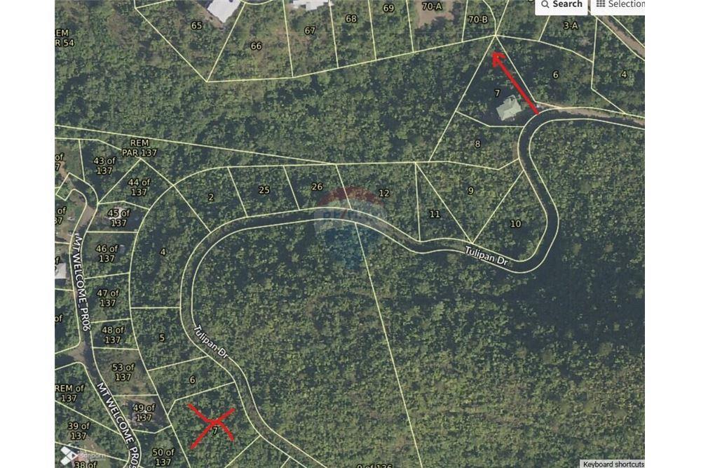 Grondstuk - Te Koop - Mount Welcome Estate, St Croix, US Virgin Islands - 7 - 90123001-1313
