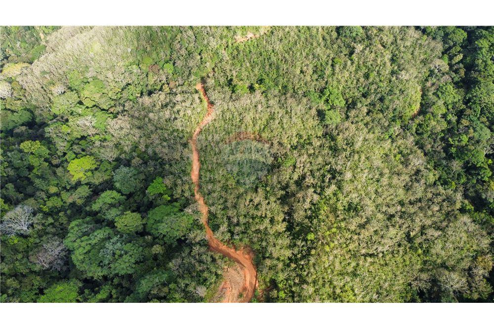 Surface commerciale - Autre terrain - San José, San José, Costa Rica - Caribbean & Central Ameri - 10 - 90168030-68