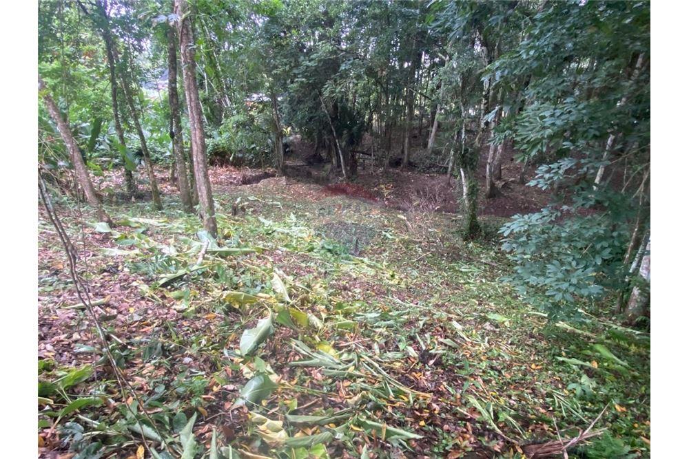 Grondstuk - Te Koop - Sangre Grande, Saint Andrew, Trinidad and Tobago - 11 - 90155109-184