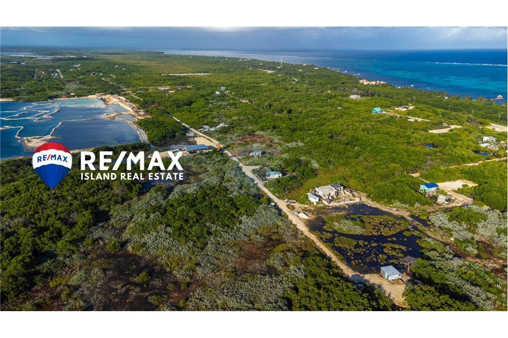 Commercial - Land - San Pedro, Ambergris Caye, Belize - Caribbean & Central Ameri - 5 - 90135017-27