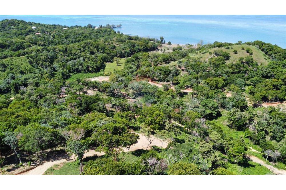 Lote - Venta - Roatan, Bay Islands, Honduras - 27 - 90143009-439
