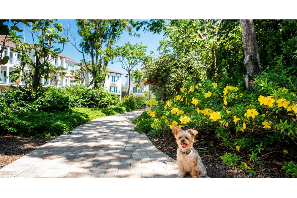 Condo/Apartment - For Sale - W Bay Bch North, West Bay, Cayman Islands - 6 - 90146014-108