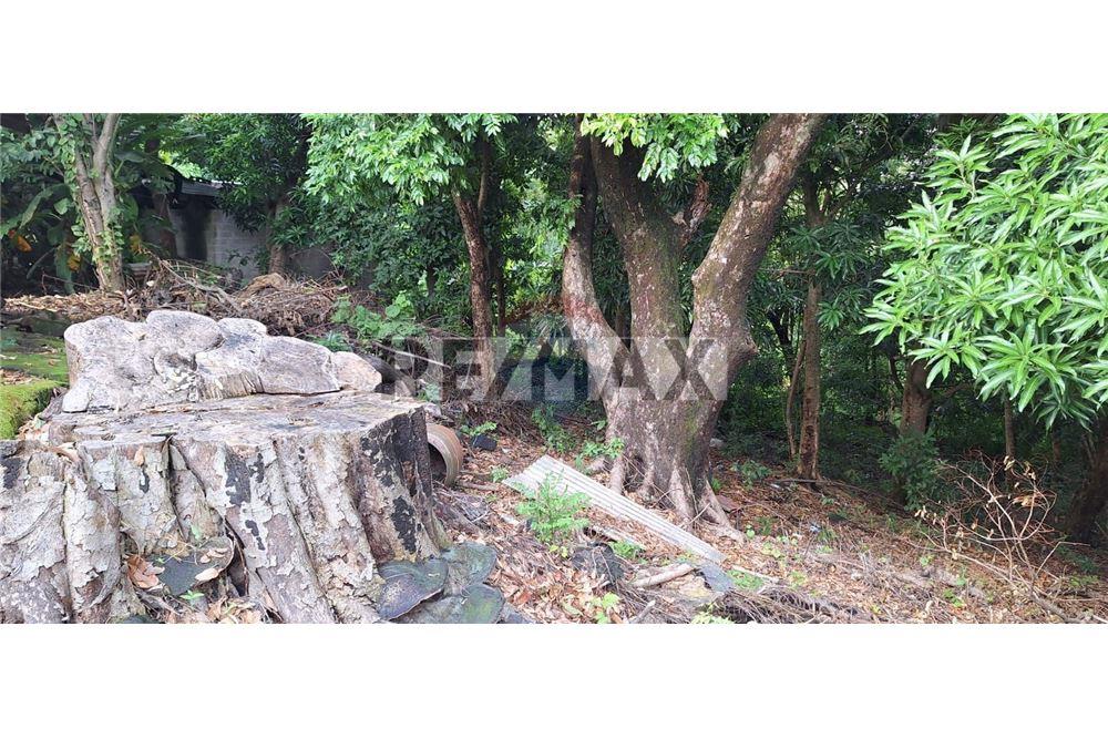 Land - For Sale - Rosario de Mora, San Salvador, El Salvador - 2 - 902271006-32
