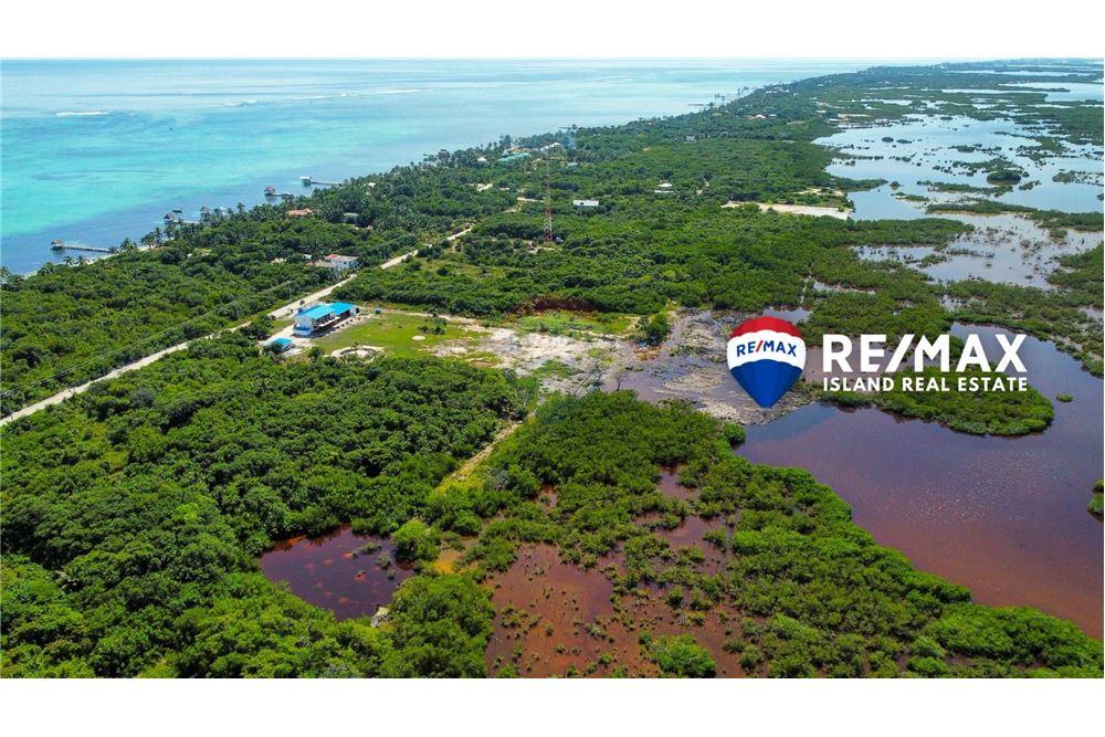 Commercial - Land - Ambergris Caye, Ambergris Caye, Belize - Caribbean & Central Ameri - 7 - 90135024-5