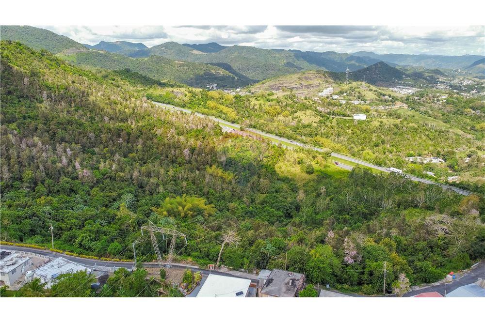 Commercial - Land - Cayey, Cayey, Puerto Rico - Caribbean & Central Ameri - 6 - 902461010-4
