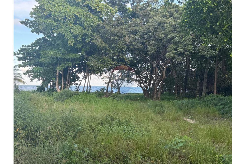 Comercial - Terreno - Placencia, Stann Creek District, Belice - Caribbean & Central Ameri - 7 - 90127003-302