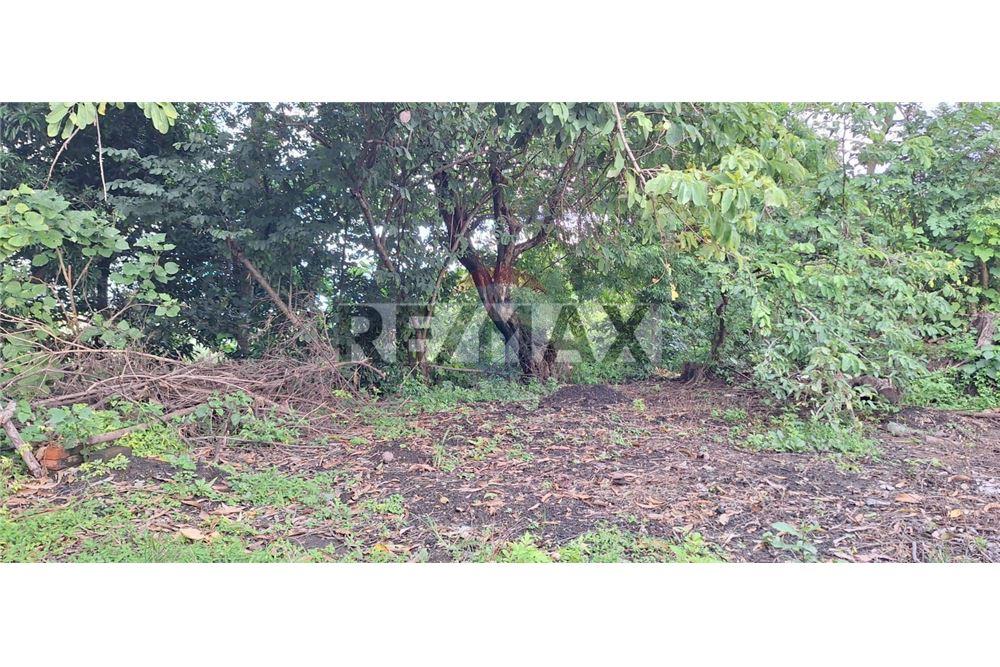 Land - For Sale - Rosario de Mora, San Salvador, El Salvador - 1 - 902271006-32