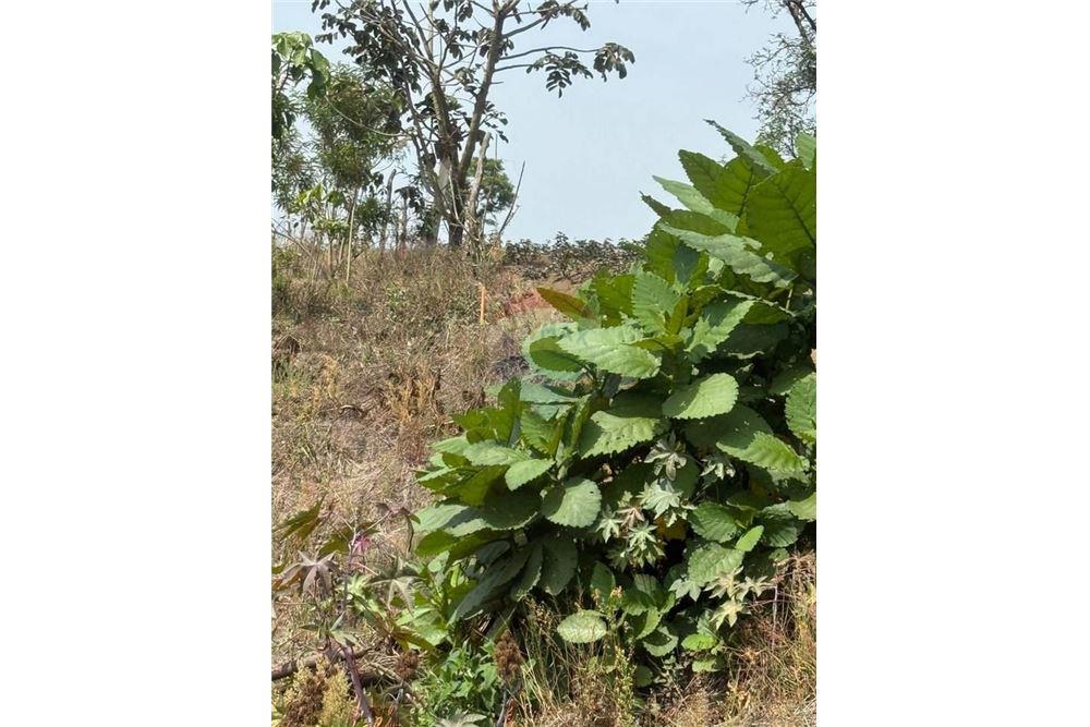 Grondstuk - Te Koop - San Pedro Las Huertas, Sacatepéquez, Guatemala - 2 - 90129001-376