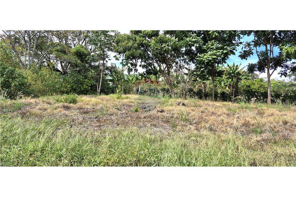 Commercieel - Grond - Atenas, Alajuela- Atenas, Costa Rica - Caribbean & Central Ameri - 7 - 90128007-198