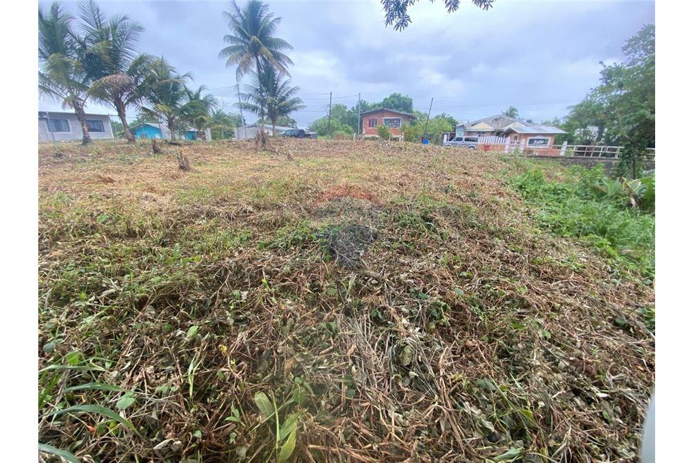 Grondstuk - Te Koop - Sangre Grande, Saint Andrew, Trinidad and Tobago - 12 - 90155109-184