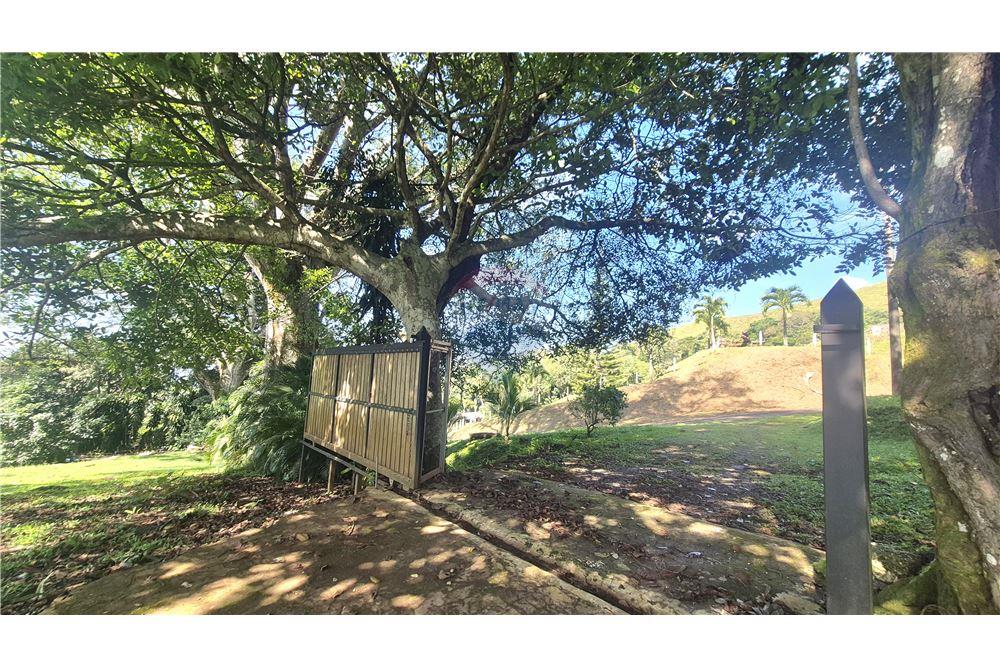 Commercieel - Grond - Atenas, Alajuela- Atenas, Costa Rica - Caribbean & Central Ameri - 20 - 90128007-192