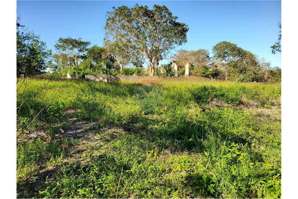 Commercio - Terreno - Ranchito, Corozal District, Belize - Caribbean & Central Ameri - 5 - 901411007-89