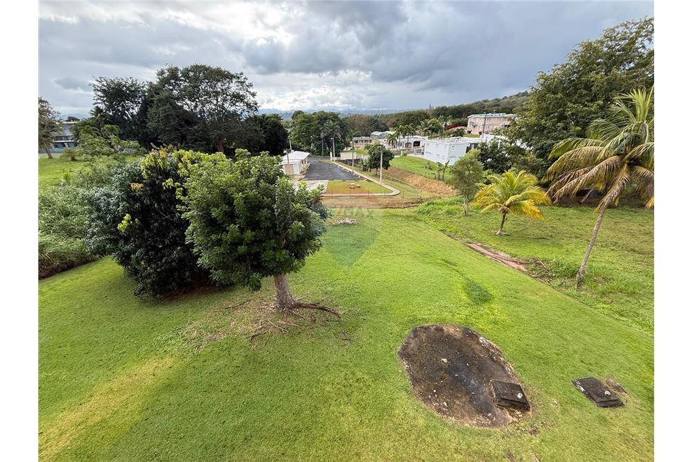 Villa - For Sale - Morovis, Morovis, Puerto Rico - 3 - 90102025-330