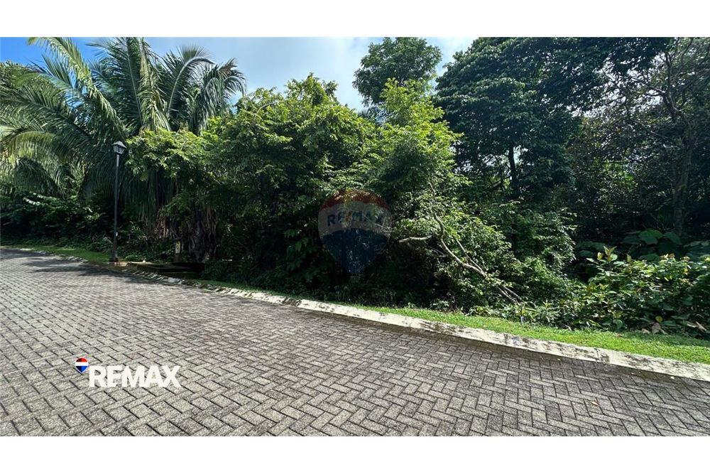 Commercial - Land - Parrita - Esterillos, Puntarenas - Parrita, Costa Rica - Caribbean & Central Ameri - 3 - 90168041-16