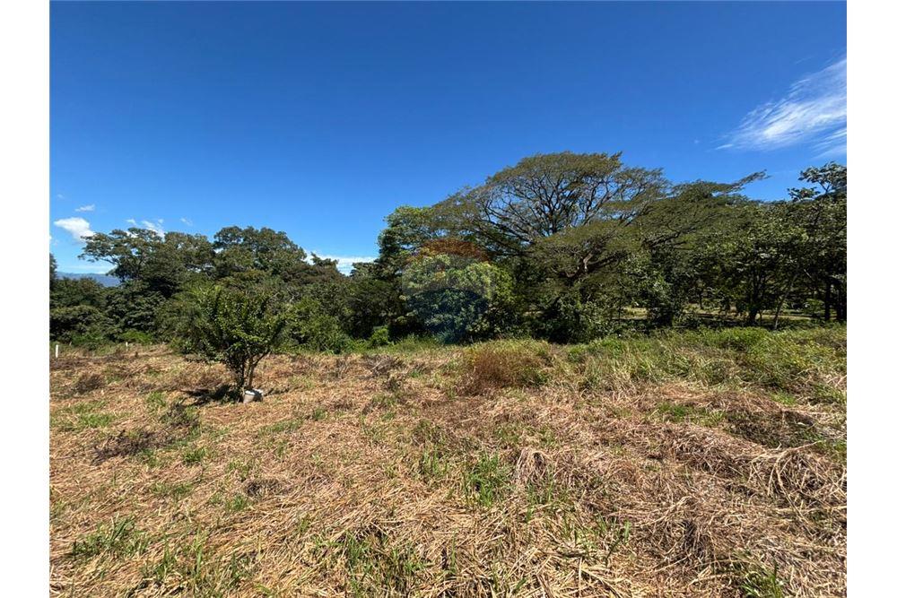 Comercial - Terreno - Atenas, Alajuela- Atenas, Costa Rica - Caribbean & Central Ameri - 31 - 90128002-998