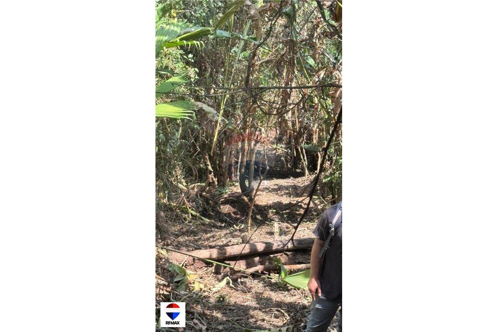 Comercial - Terrenos - Tarcoles - Quebrada Ganado, Puntarenas- Garabito, Costa Rica - Caribbean & Central Ameri - 7 - 90168030-59