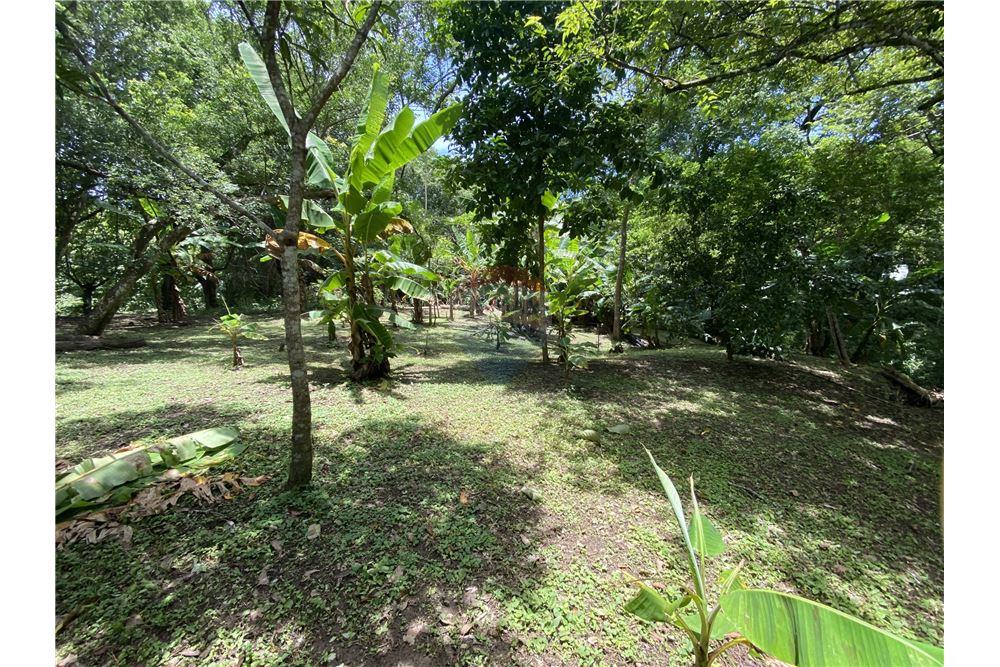 Villa - Te Koop - Manzanillo, Puntarenas - Puntarenas, Costa Rica - 19 - 90110006-43