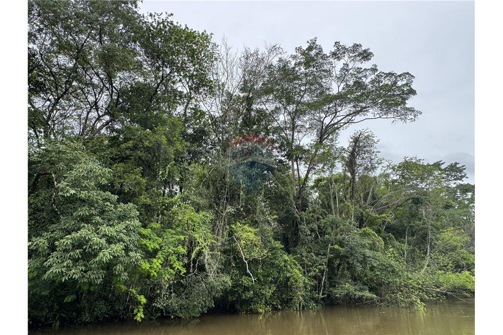 Commercial - Land - Punta Gorda, Toledo District, Belize - Caribbean & Central Ameri - 6 - 90127003-294