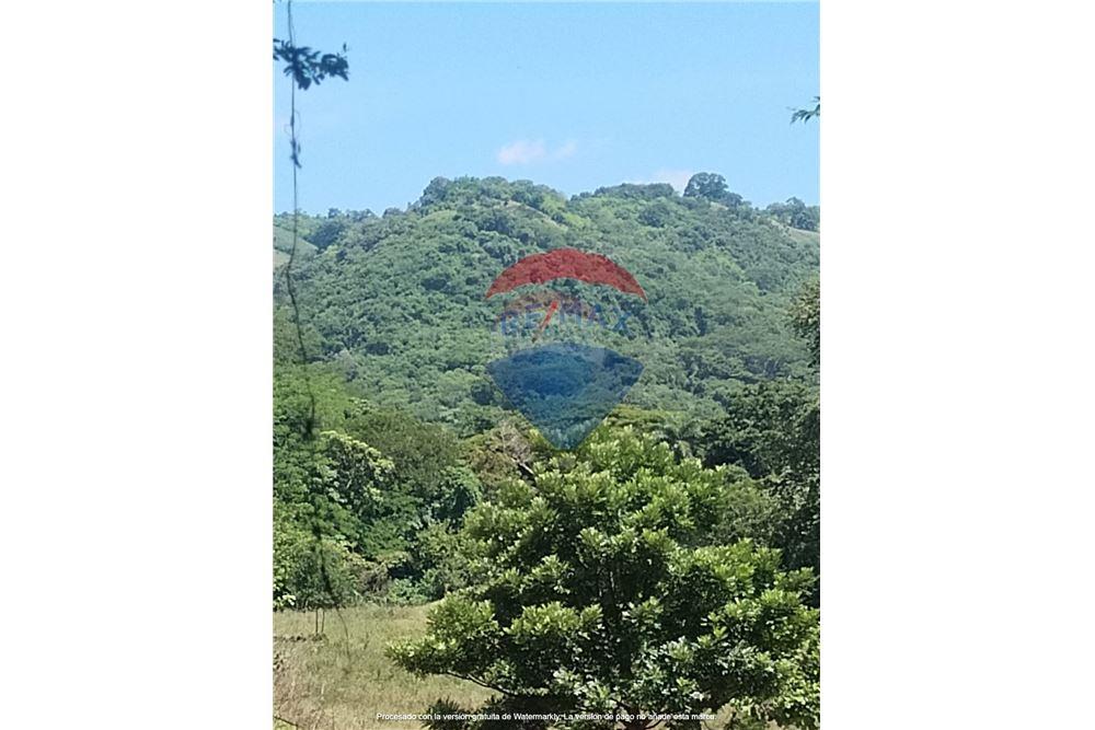 Land - For Sale - Panchimalco, San Salvador, El Salvador - 1 - 901901066-4