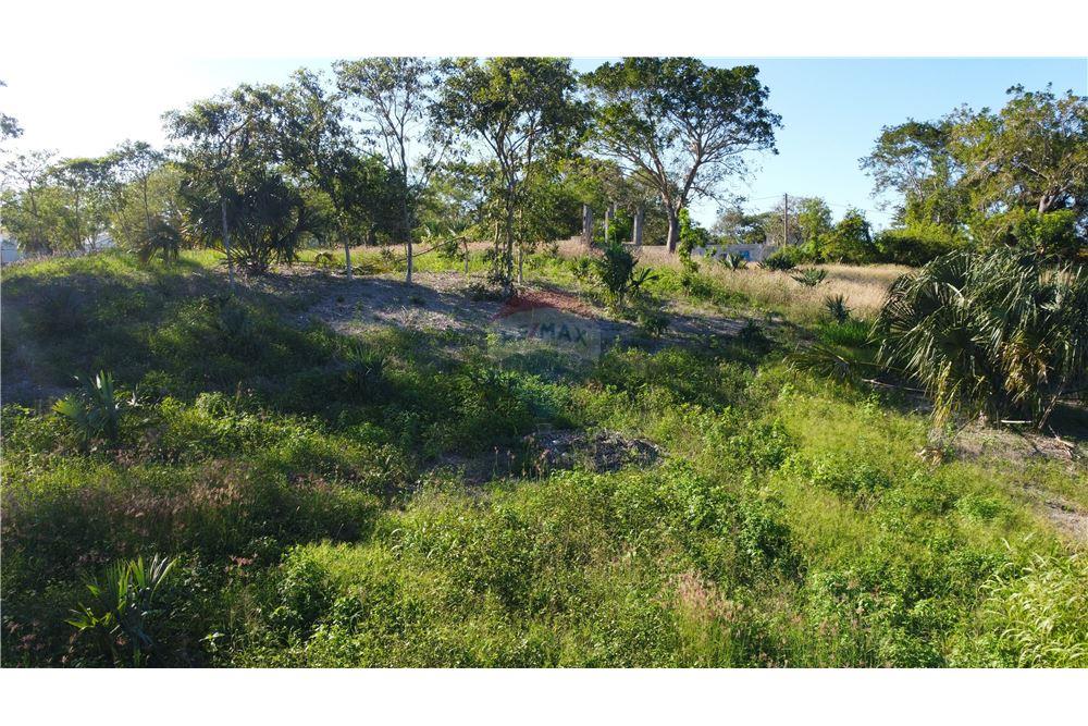 Commercio - Terreno - Ranchito, Corozal District, Belize - Caribbean & Central Ameri - 10 - 901411007-89