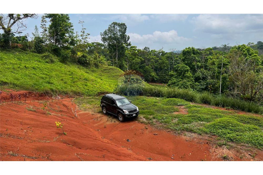 Commercial - Land - Bijagual, Puntarenas, Costa Rica - Caribbean & Central Ameri - 10 - 90168042-14