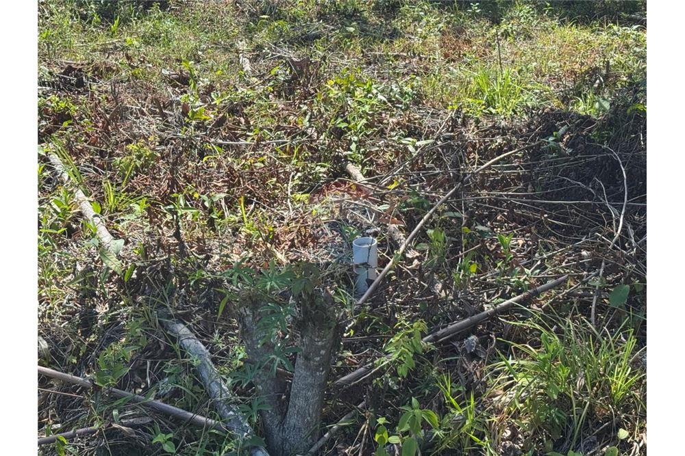 Comercial - Terreno - Hopkins, Stann Creek District, Belice - Caribbean & Central Ameri - 7 - 90127003-307